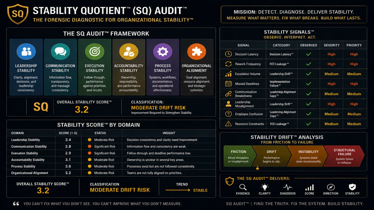 Stability Quotient Audit visual representing organizational alignment, execution, and stability
