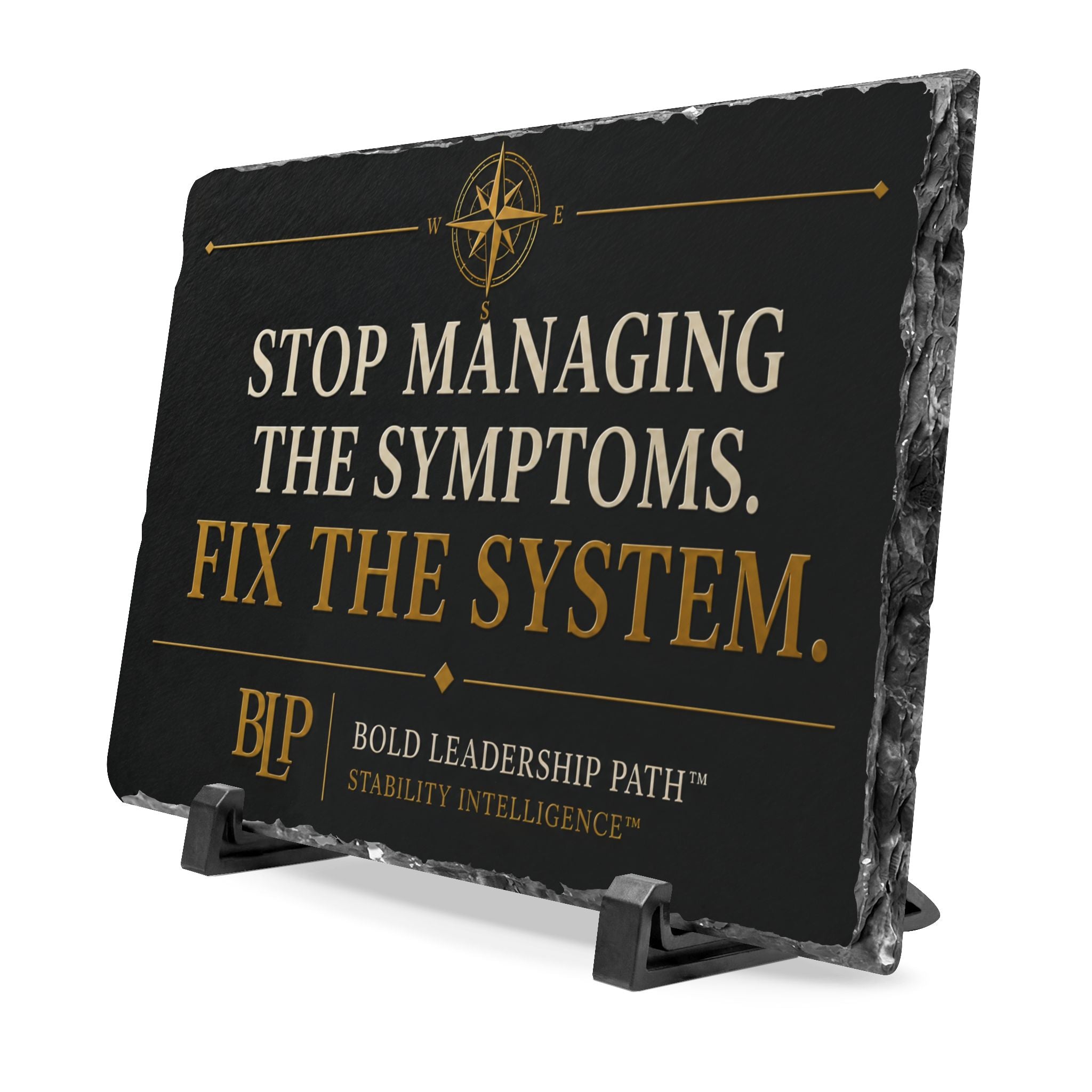 Slate Desk Plaque — "Stop Managing the Symptoms. Fix the System."